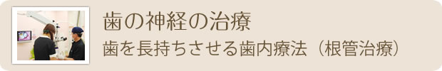 歯の神経の治療