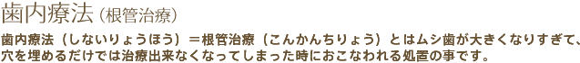 歯内療法（根管治療） 歯内療法（しないりょうほう）＝根管治療（こんかんちりょう）とはムシ歯が大きくなりすぎて、穴を埋めるだけでは治療出来なくなってしまった時におこなわれる処置の事です。