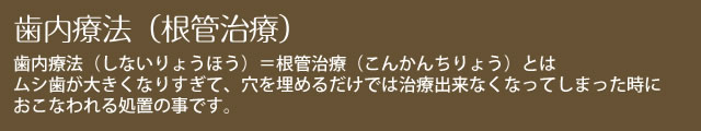 歯内療法（根管治療） 歯内療法（しないりょうほう）＝根管治療（こんかんちりょう）とはムシ歯が大きくなりすぎて、穴を埋めるだけでは治療出来なくなってしまった時におこなわれる処置の事です。